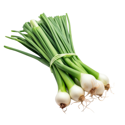 Onions (Spring)-Bulb